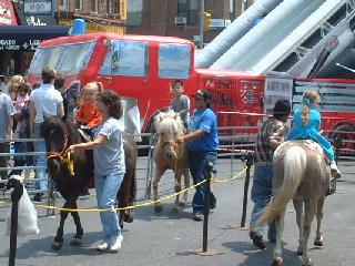 ponies