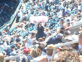 cotton candy seller