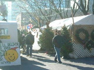 Tree Vendors 1