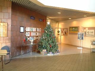 Tree at BMCC