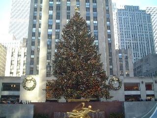 Tree of Rockefeller Center in daytime