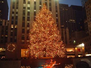 Tree of Rockefeller Center in nighttime