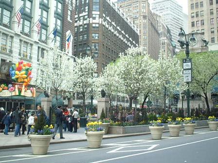 Macy's