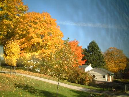 autumn colors