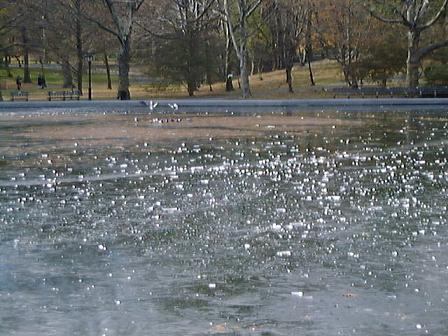 central park