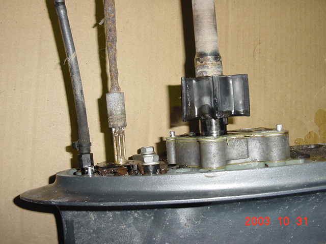 90rowa013.JPG