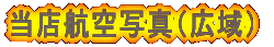 ���X�q��ʐ^�i�L��j