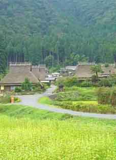 miyama