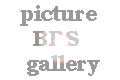 PictureBBS gallery
