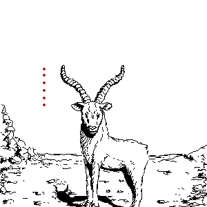 �E�E�E�i�U���b�N���j�@�`����̐^���P