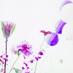 『imagination』