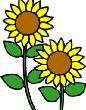 flowersum04