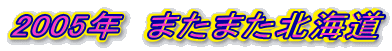 2005N@܂܂kC
