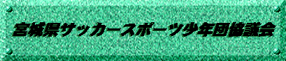 \@{錧TbJ[X|[cNc