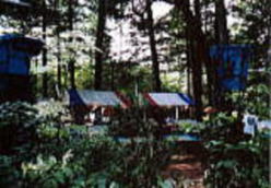 kariyado8.