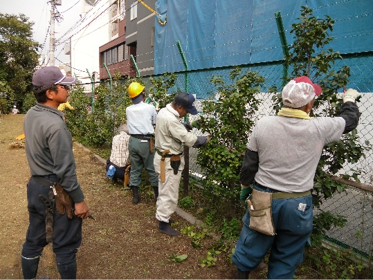 シルバー人材センターでの造園講習の写真