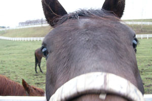 可愛い。今回のベストショット