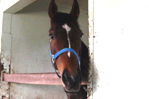 不審者発見!な目で見られる