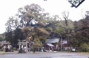 大分八幡宮