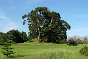 江田船山古墳