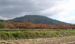 三輪山