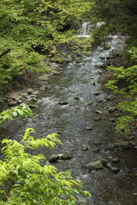 皆瀬川