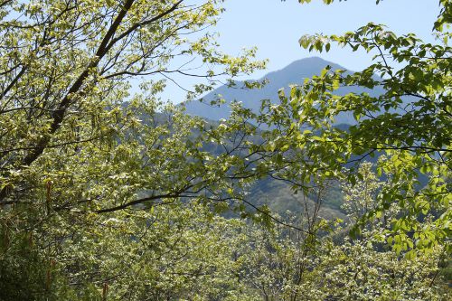 山頂から大室山を見上げる