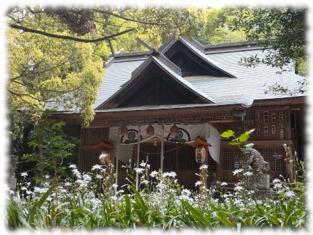 シャガ咲く五日市の阿岐留神社