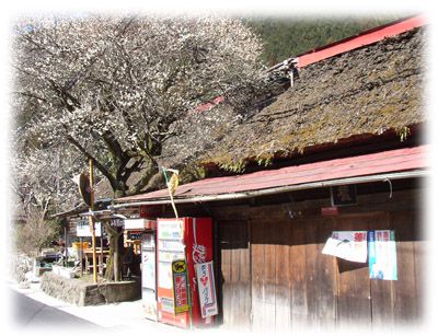 �������A��O�g�쉈���ɂ�