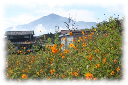 和銅黒谷駅付近から武甲山