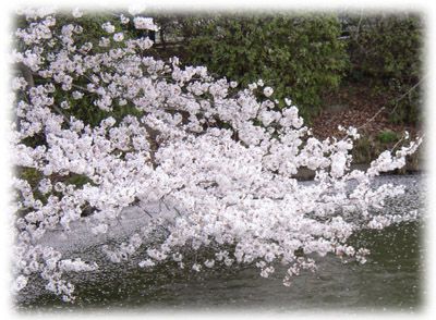 ���l�E�O�c�r�����̍�