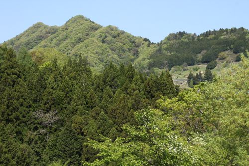 富岡の集落からデン笠(左)と金ピラ山