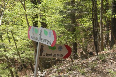 金山峠