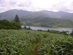 エビ山からの下り、地蔵山・堂岩山方面を見晴らし野反湖も近づく