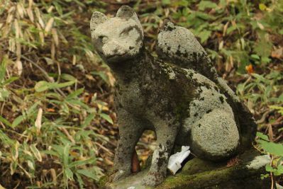 迫力ある姿だがよく見るとかわいい