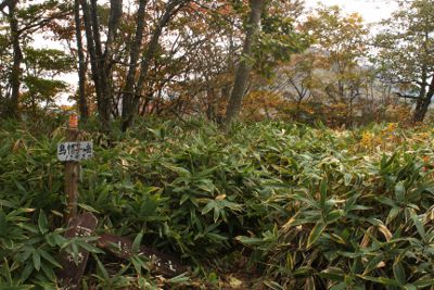 笹原の烏帽子ヶ岳山頂