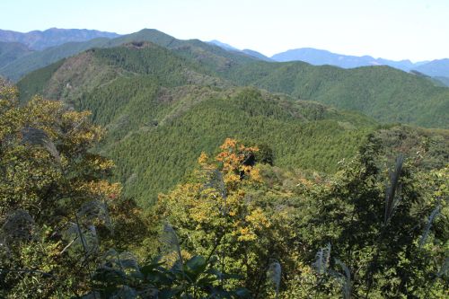 岩茸石山から都県界尾根の奥に棒ノ折山を望む。左奥に有間山、右奥に武川岳。