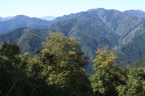 岩茸石山の山頂から川苔山(右)、鋸尾根を挟んで本仁田山