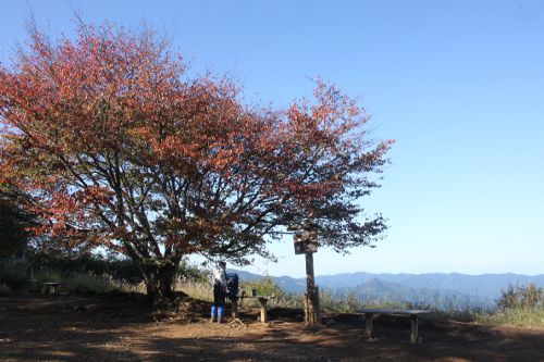 奥武蔵側の眺めが広闊な棒ノ折山の山頂