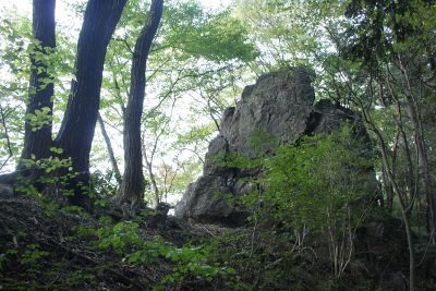 岩茸石