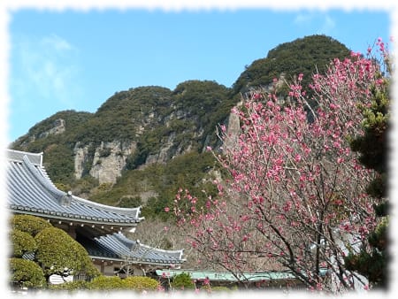 四国霊場第85番札所八栗寺の境内から五剣山の岩塔群を見上げる