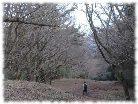 箱根　浅間山から箱根湯本方面へ