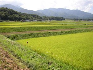 南アルプス北端前衛の山々