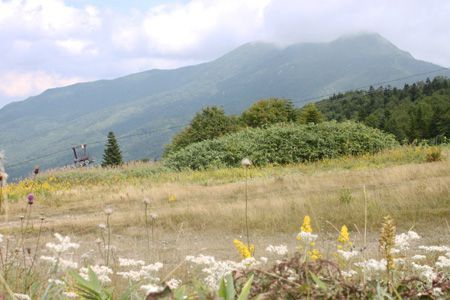 寺子屋山山頂直下のスキーゲレンデから見る岩菅山・裏岩菅山(左)