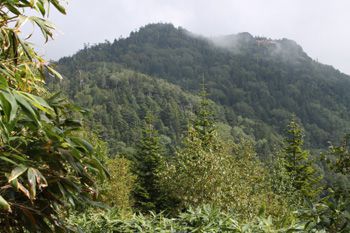 近づく赤石山