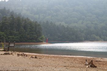 大沼池の畔にて。赤いのは鳥居。