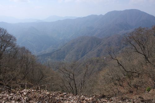 ツツジ新道分岐のピークに登る途中で左手に大室山を望む