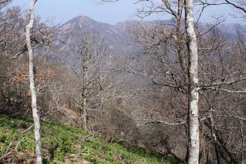山頂直下から蛭ヶ岳を望む