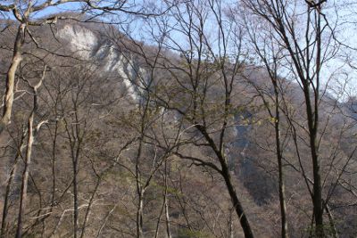 ツツジ新道にて、テシロノ頭付近からのガレを見上げる