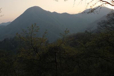 東沢北方の山腹コースから箒沢権現山(左)と畦ヶ丸
